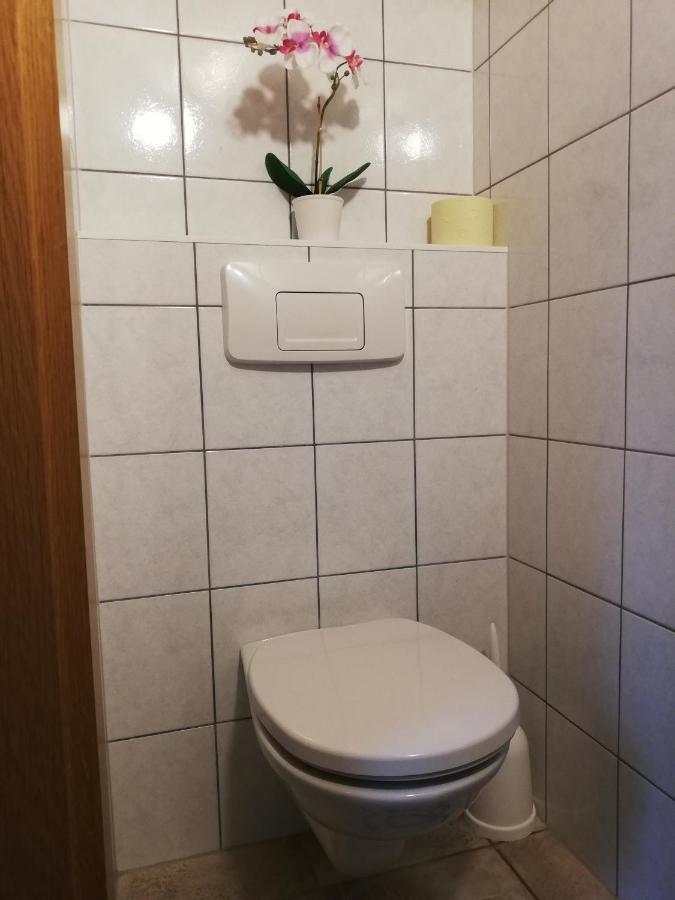 Apartment Natur Herz 恩斯塔尔豪斯 外观 照片